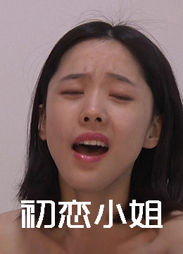 初恋小姐海报剧照