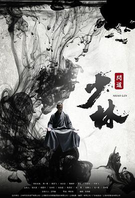 少林问道海报剧照