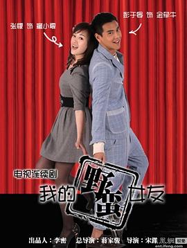 我的野蛮女友海报剧照
