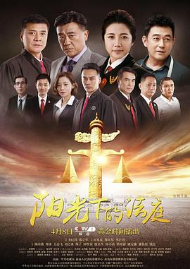 阳光下的法庭海报剧照
