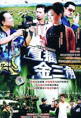 直插金三角海报剧照