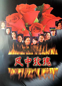 风中玫瑰海报剧照