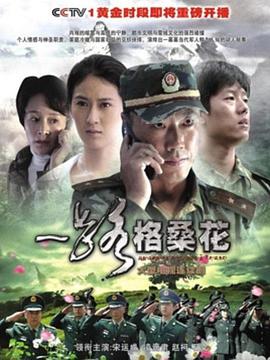 一路格桑花海报剧照