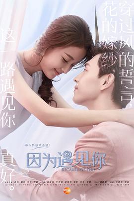 因为遇见你海报剧照