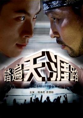 踏遍天涯路海报剧照