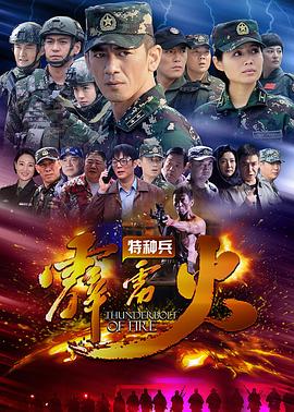 特种兵之霹雳火海报剧照