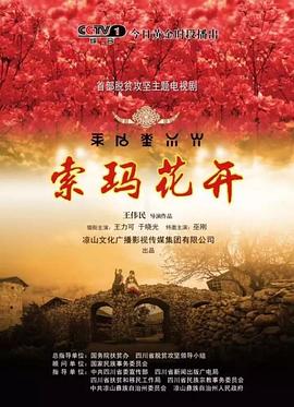 索玛花开海报剧照