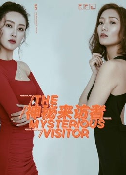 神秘来访者海报剧照