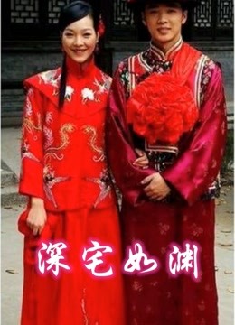 深宅如渊海报剧照