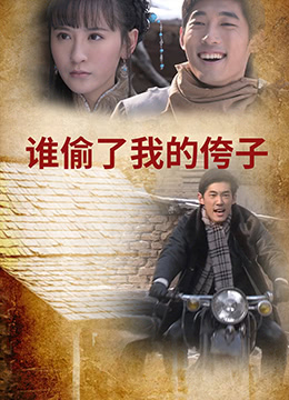 谁偷了我的侉子海报剧照