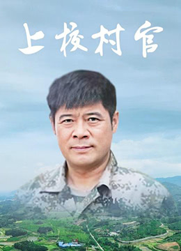 上校村官海报剧照