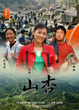 山杏海报剧照