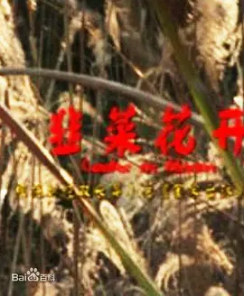 韭菜花开海报剧照