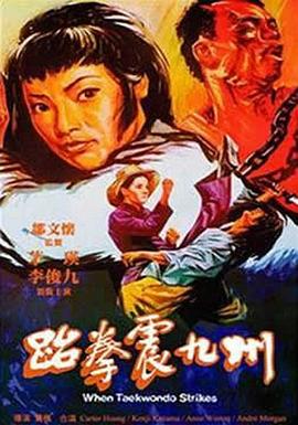 跆拳震九州海报剧照