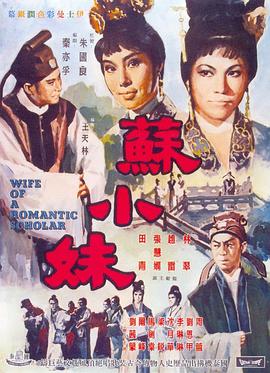 苏小妹海报剧照