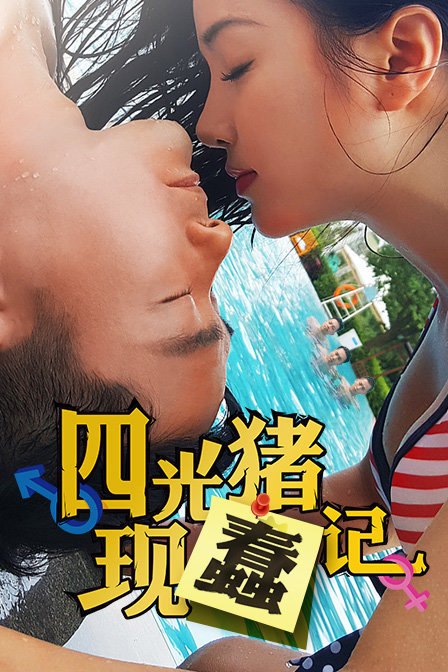 四光猪现蠢记海报剧照