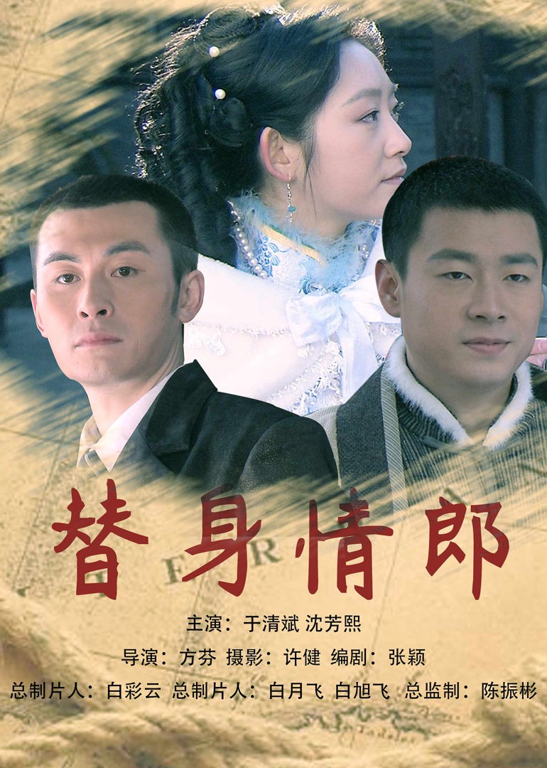 替身情郎海报剧照
