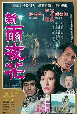 新雨夜花海报剧照