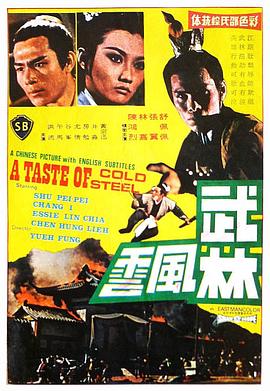 武林风云海报剧照