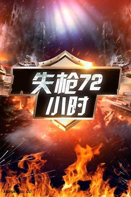 失枪72小时海报剧照