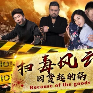 扫毒风云之因货起的祸海报剧照
