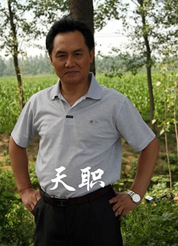 天职海报剧照