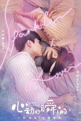 心动的瞬间（越南语版）海报剧照