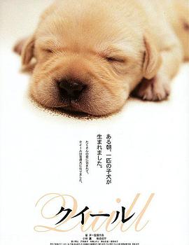 导盲犬小Q海报剧照
