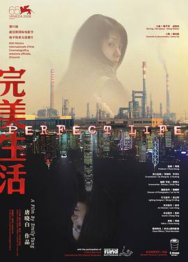 完美生活海报剧照