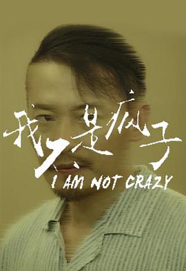 我不是疯子海报剧照