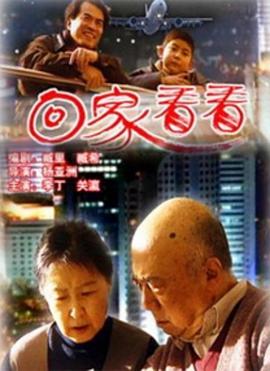 回家看看海报剧照