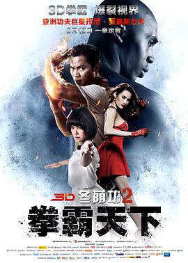 冬荫功2：拳霸天下（国语版）海报剧照