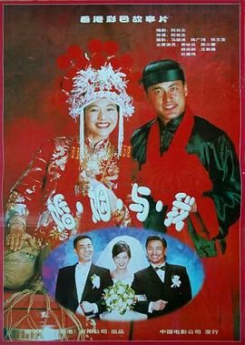 完全结婚手册海报剧照