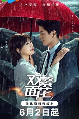 双面繁花海报剧照