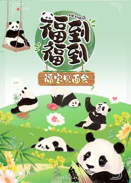 福到福到福宝见面会海报剧照