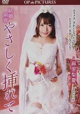 新婚交插点海报剧照