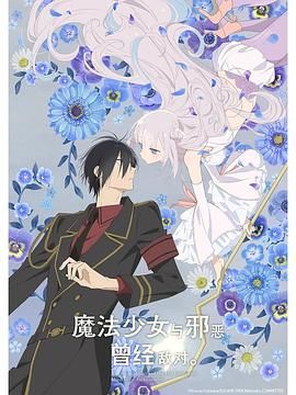 魔法少女与恶曾是敌人海报剧照