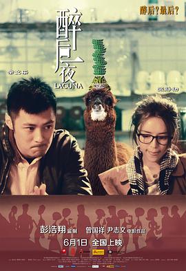 醉后一夜海报剧照
