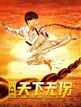 功夫阿宝：天下无拐海报剧照