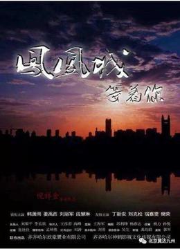 凤凰城等着你海报剧照
