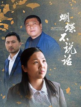 蝴蝶不说话海报剧照