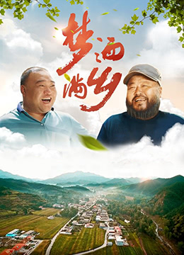 梦洒满乡海报剧照
