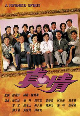 真情海报剧照