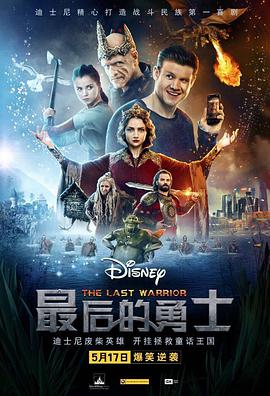 最后的勇士海报剧照