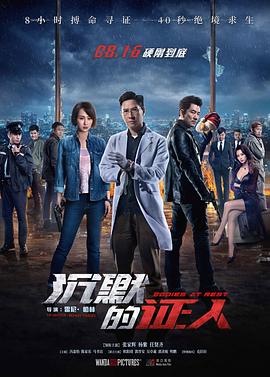 沉默的证人（国语版）海报剧照
