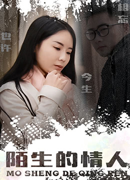 陌生的情人海报剧照
