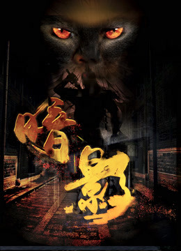 暗影海报剧照