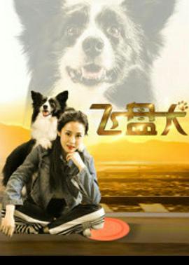 飞盘犬 (2020)海报剧照