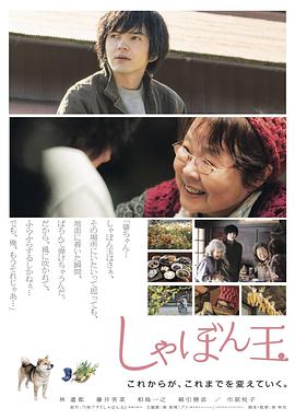 肥皂泡海报剧照