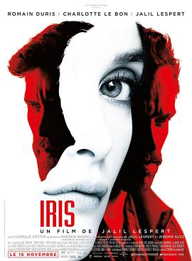 艾瑞斯 Iris海报剧照